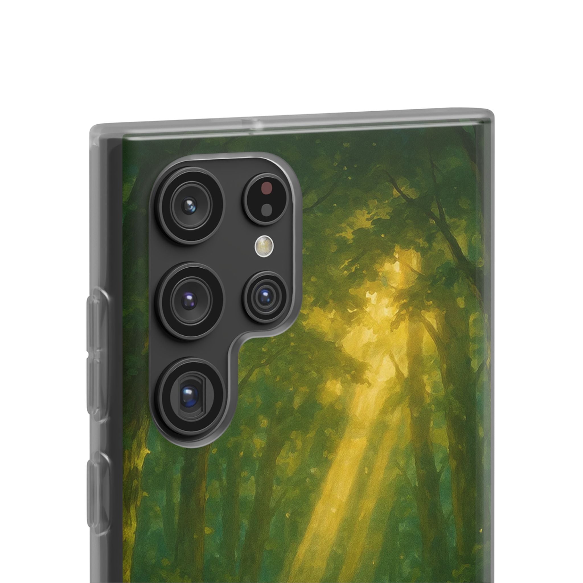 Sunbeam Sanctuary Cat