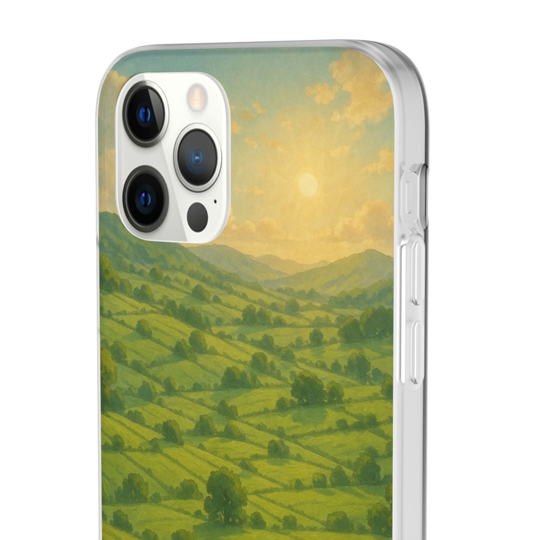 Sunset Over the Valley Cat