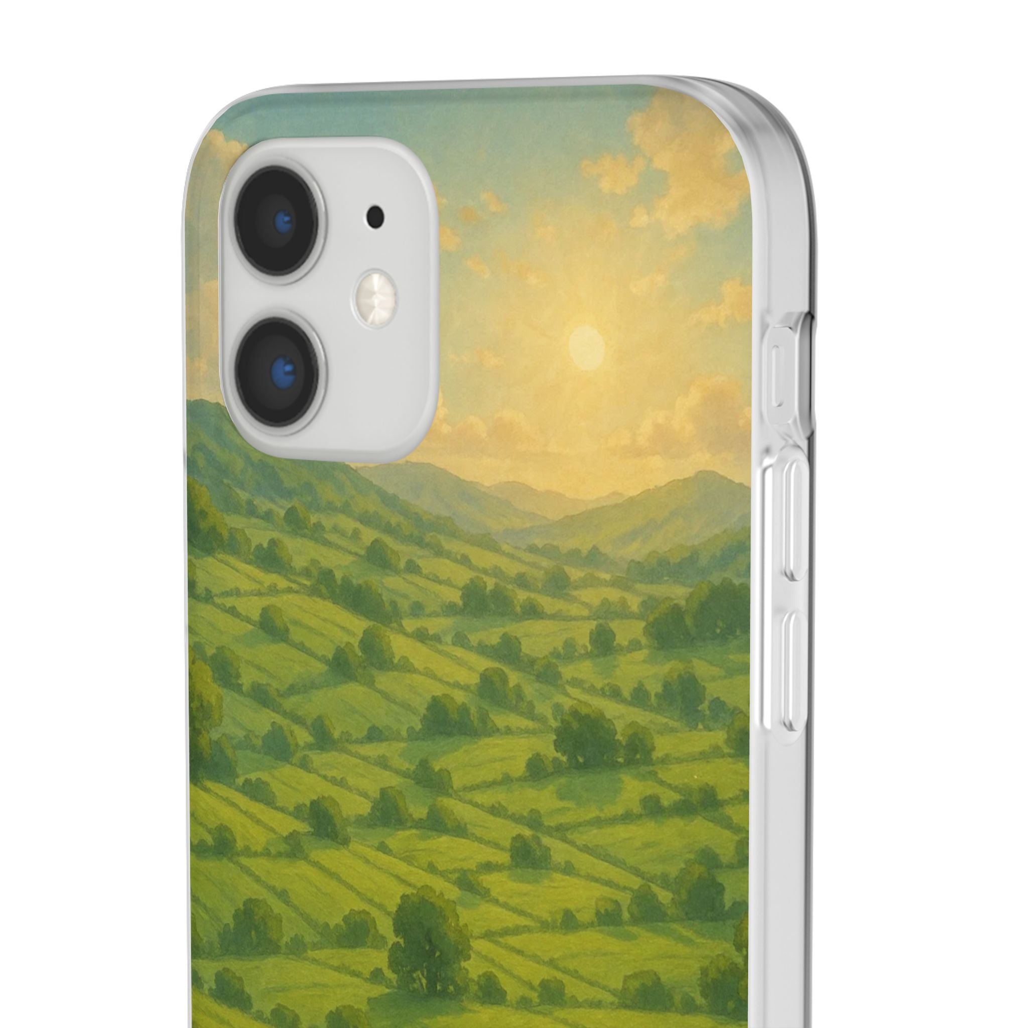 Sunset Over the Valley Cat