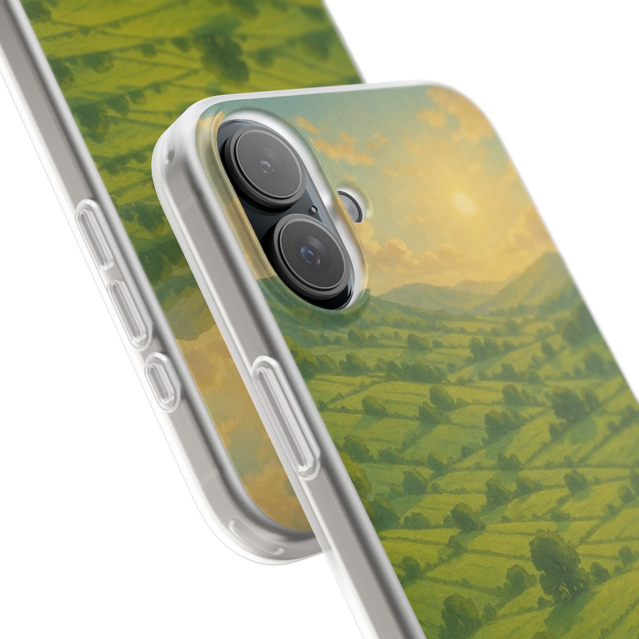 Sunset Over the Valley Cat