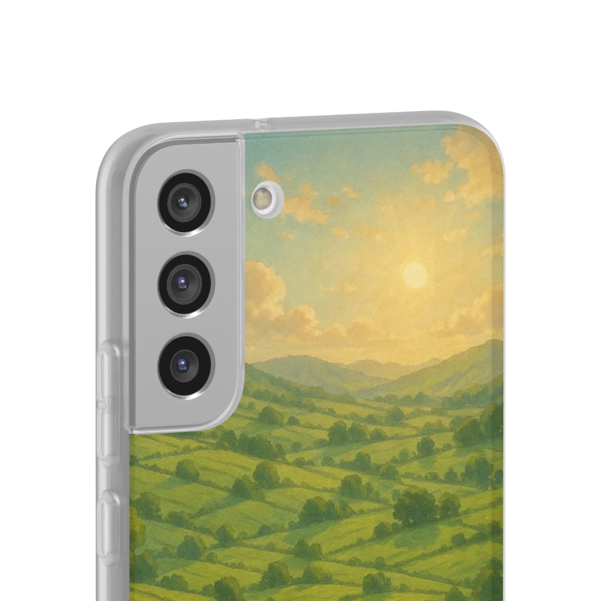 Sunset Over the Valley Cat