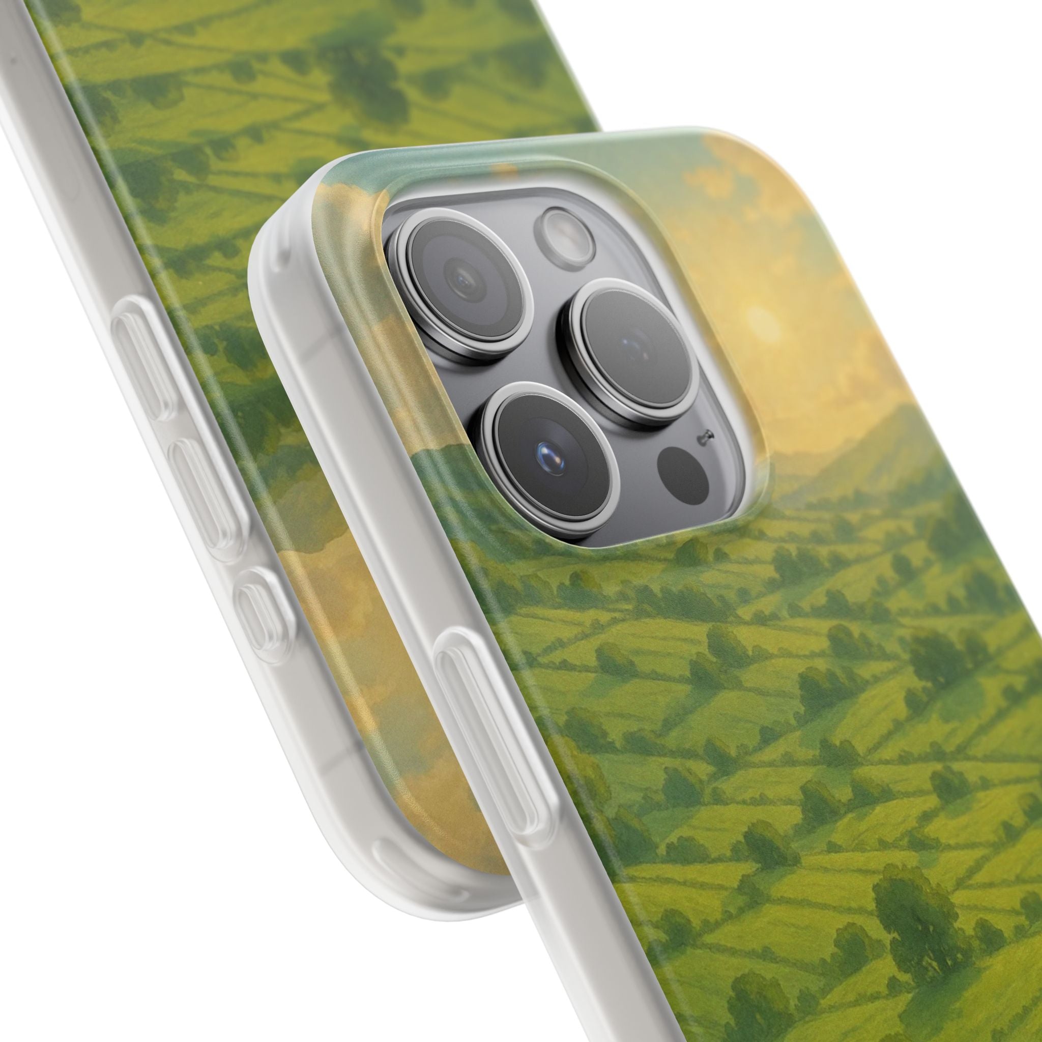 Sunset Over the Valley Cat