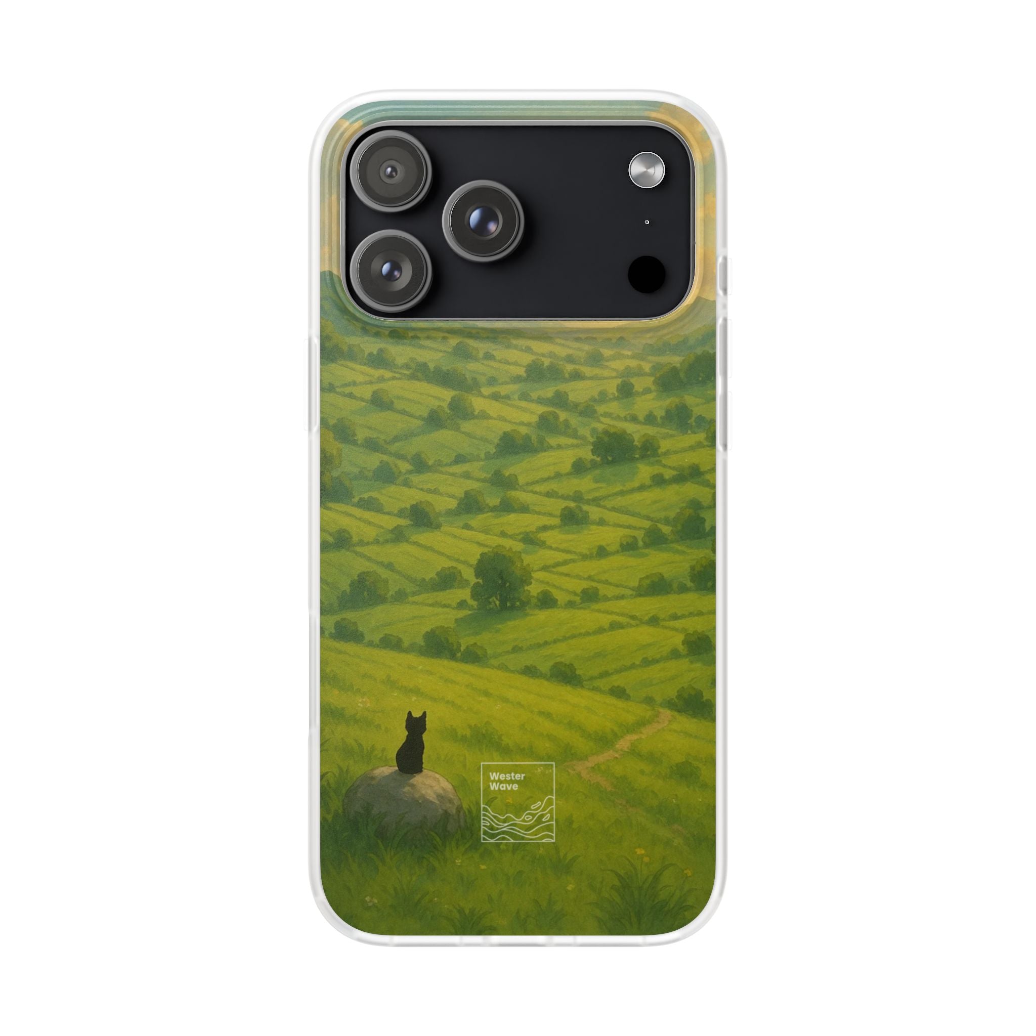 Sunset Over the Valley Cat