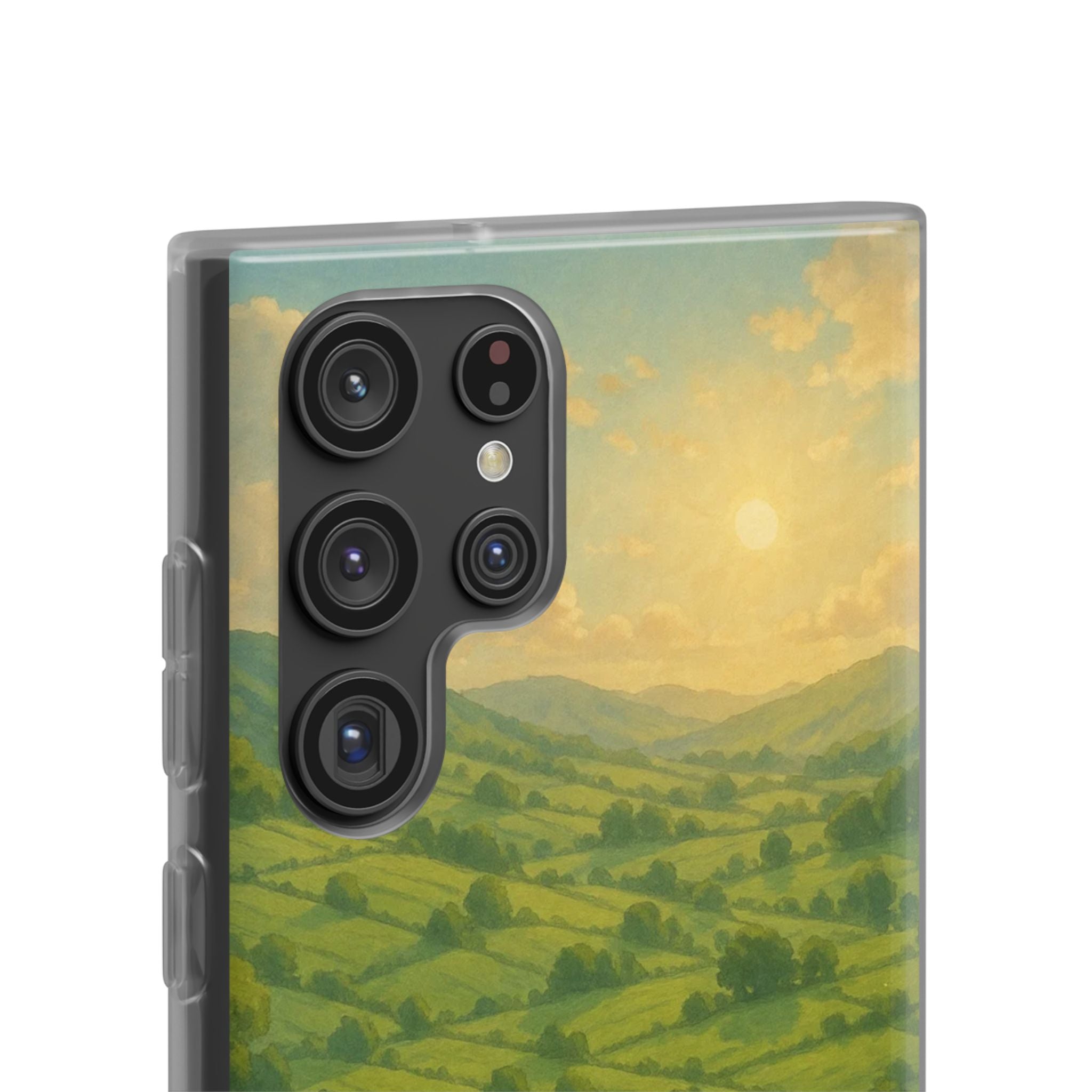 Sunset Over the Valley Cat