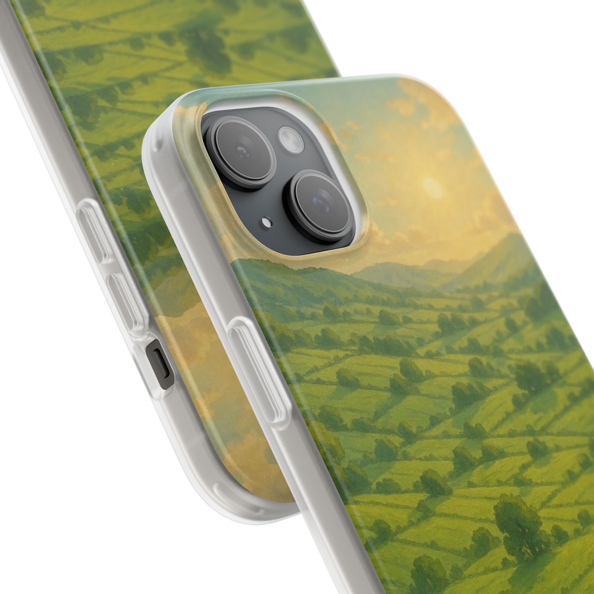 Sunset Over the Valley Cat