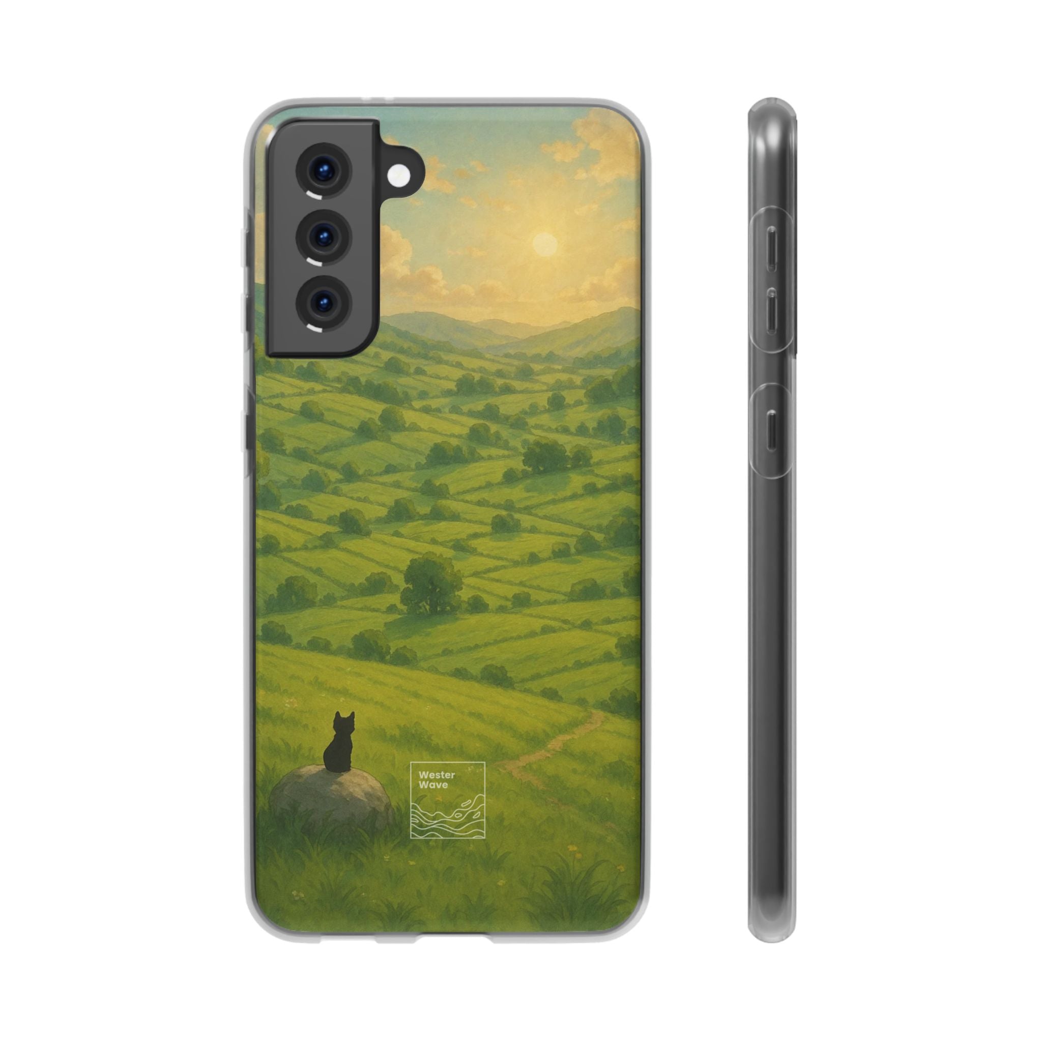 Sunset Over the Valley Cat