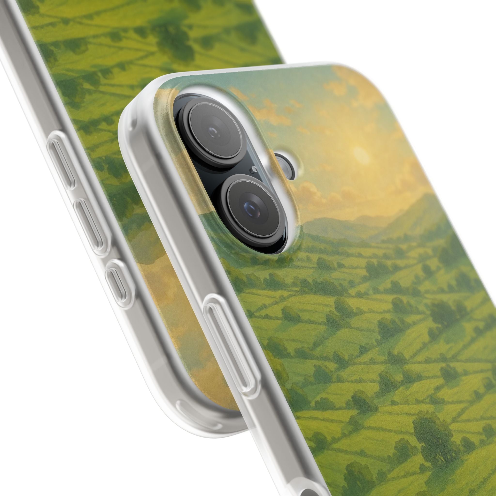 Sunset Over the Valley Cat