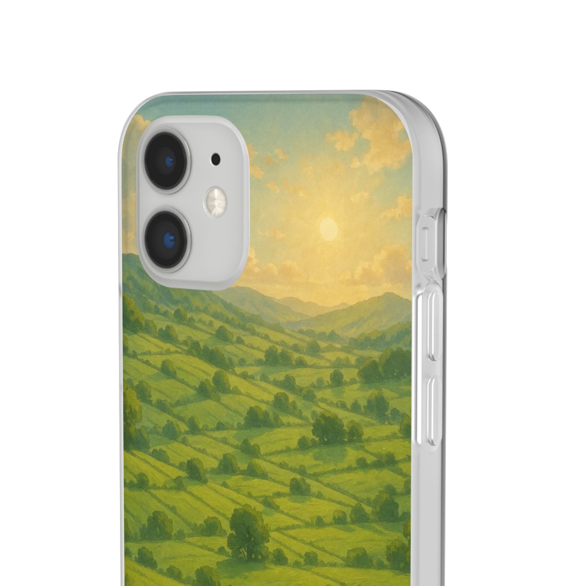 Sunset Over the Valley Cat