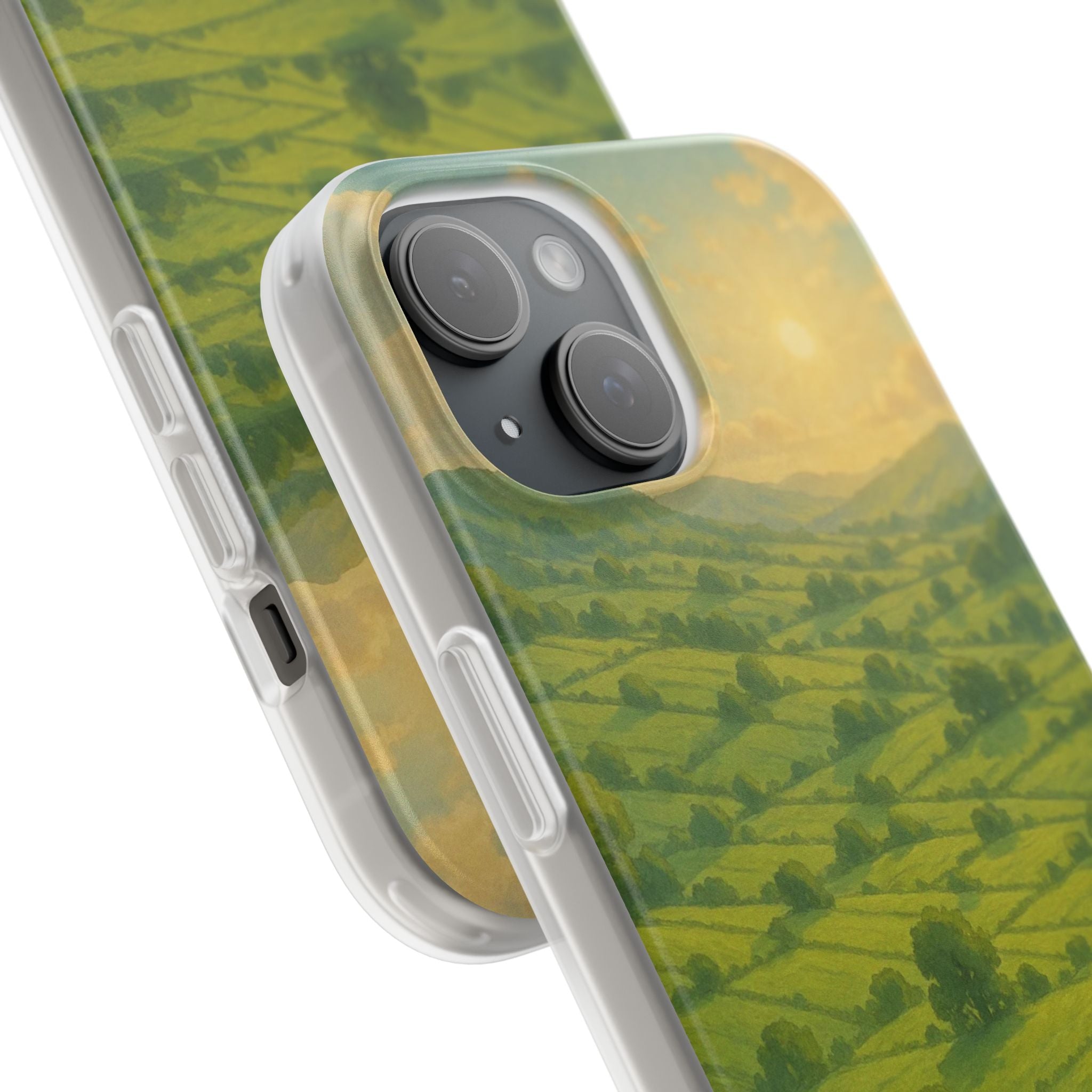 Sunset Over the Valley Cat