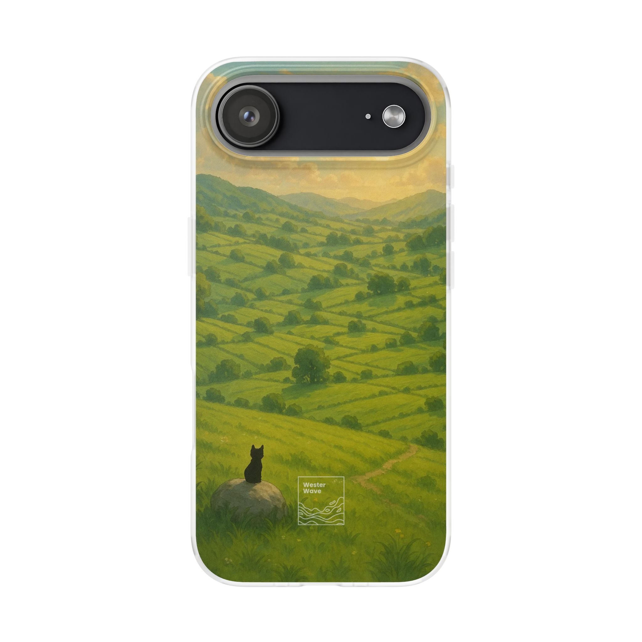 Sunset Over the Valley Cat