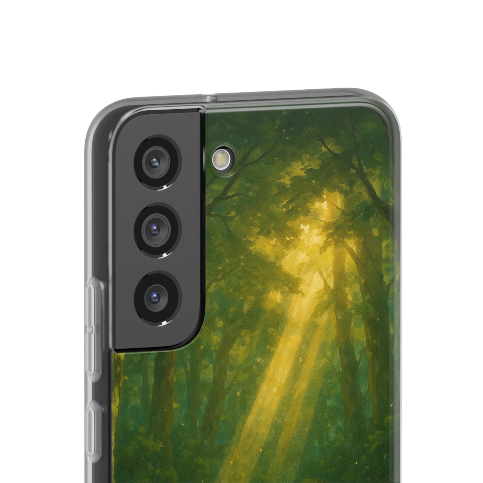 Sunbeam Sanctuary Cat