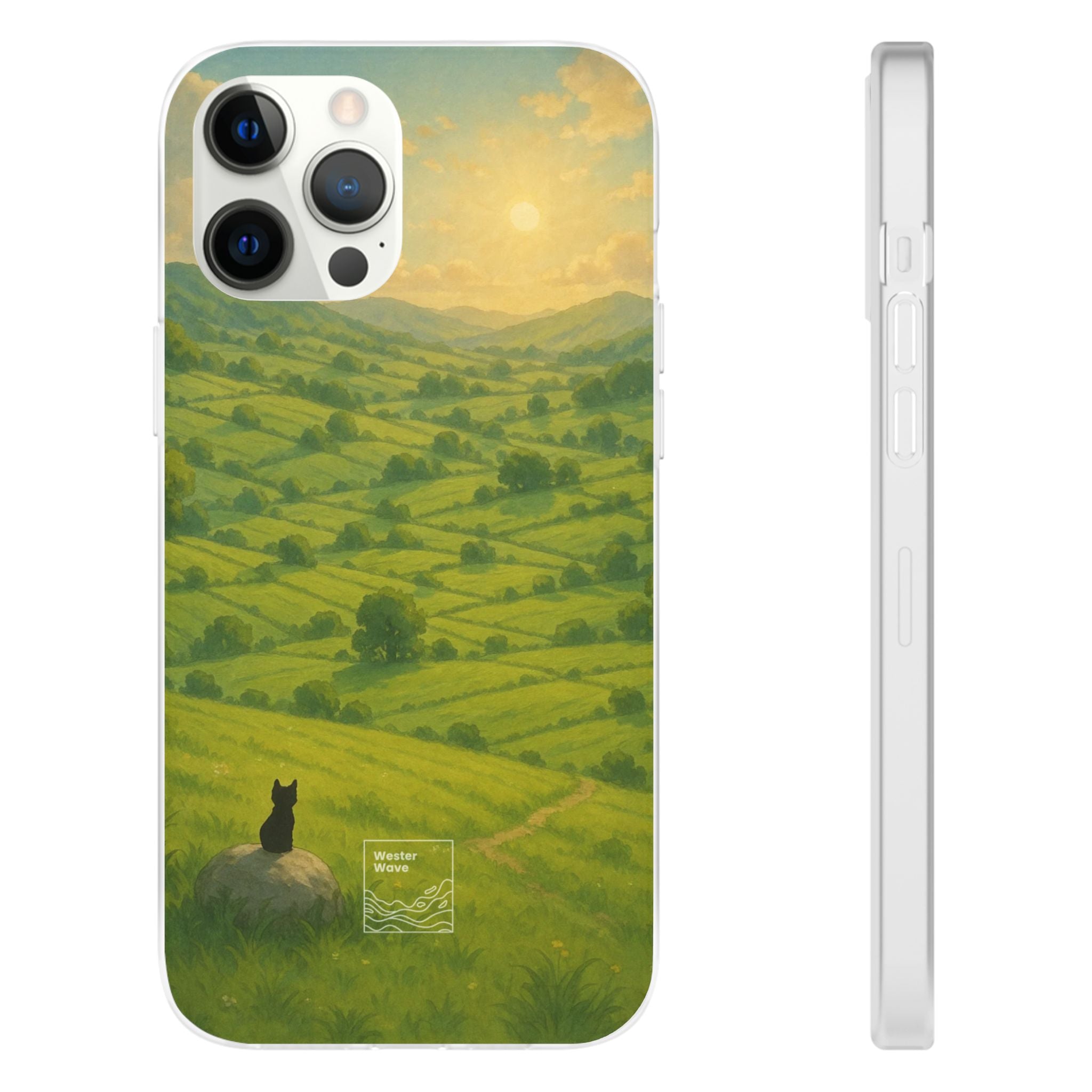 Sunset Over the Valley Cat