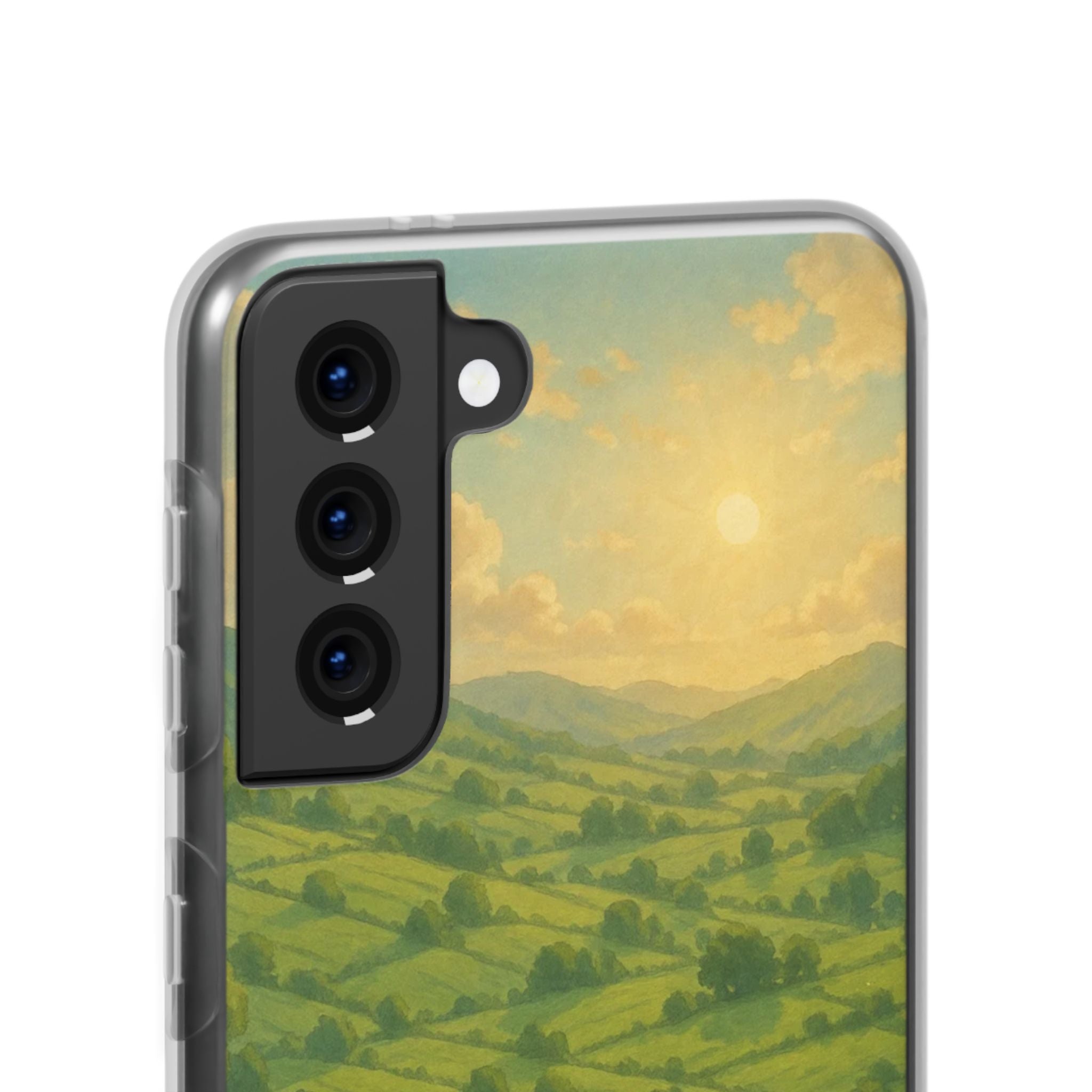 Sunset Over the Valley Cat