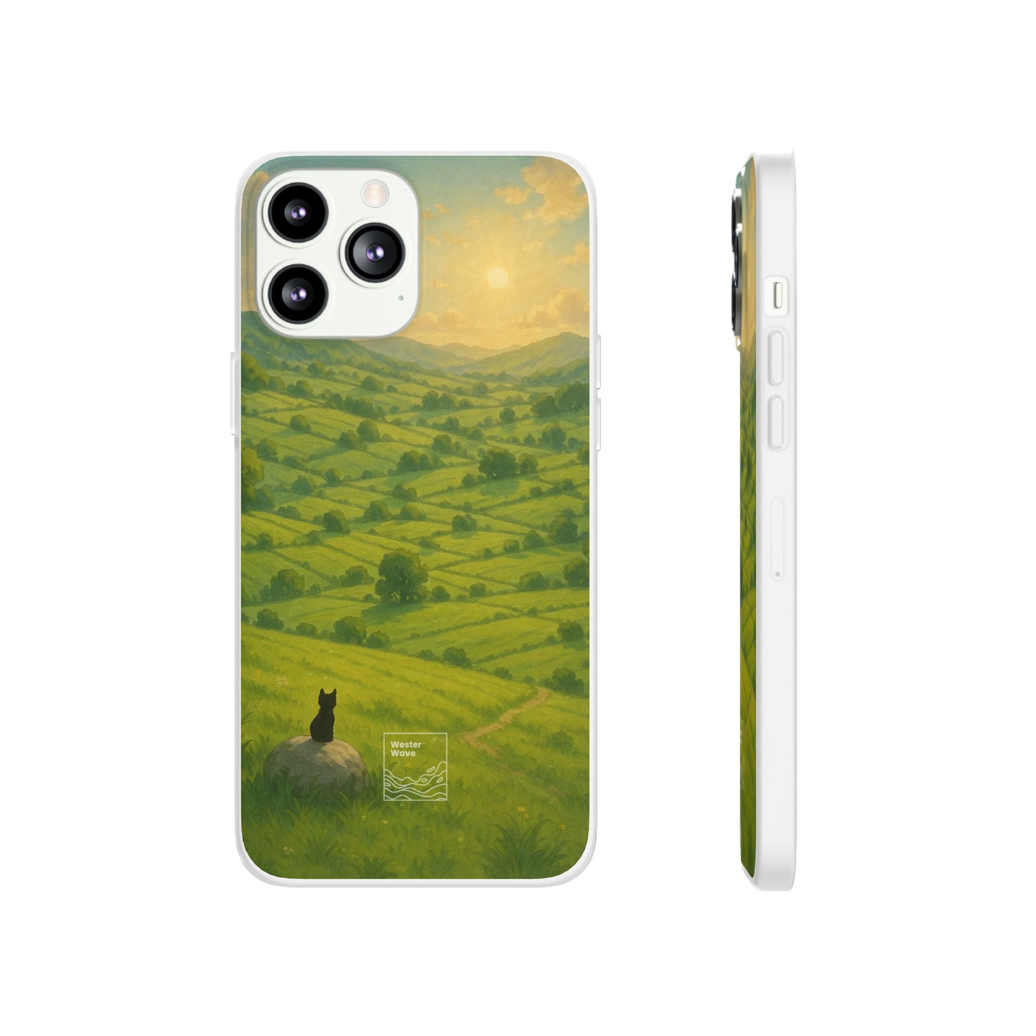 Sunset Over the Valley Cat