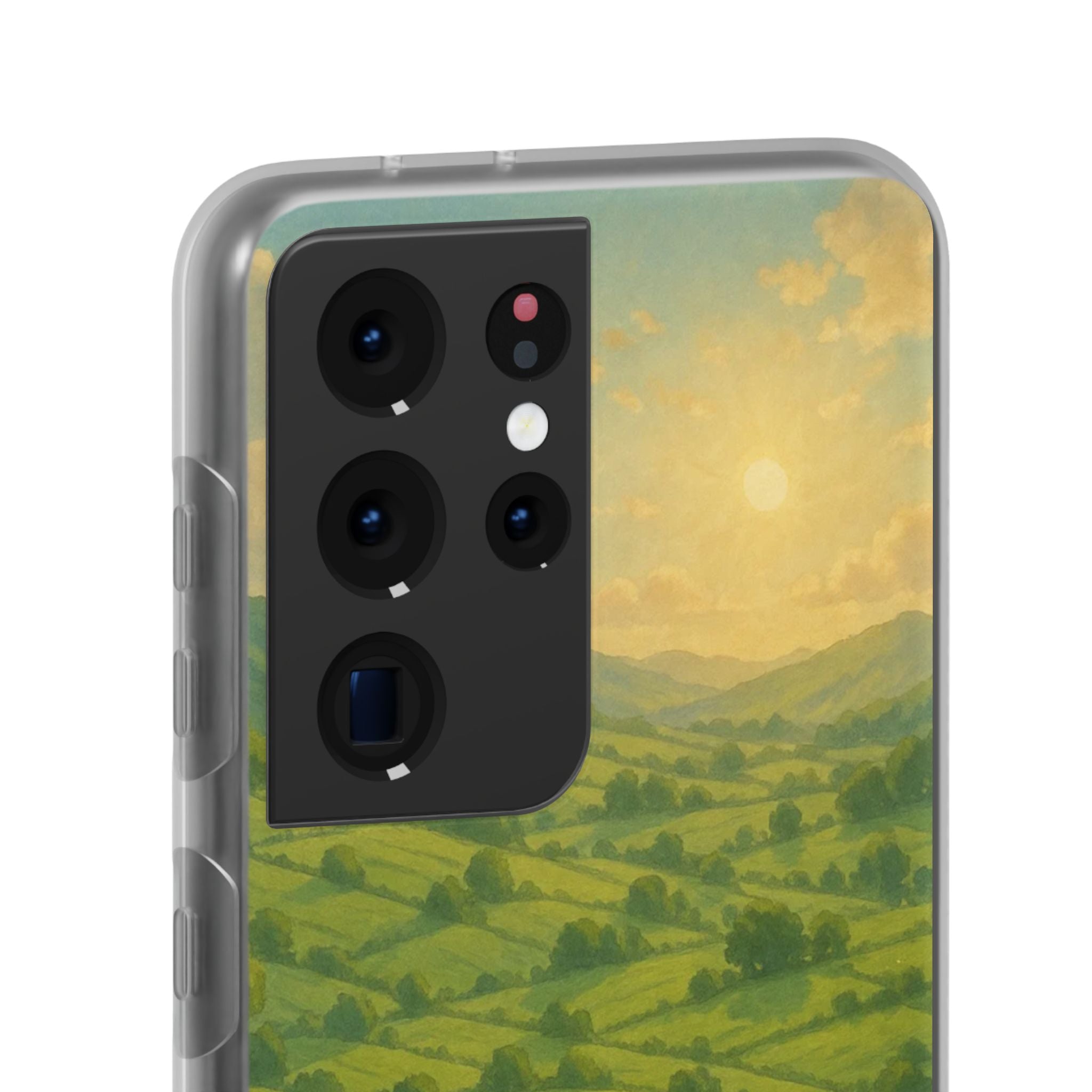 Sunset Over the Valley Cat