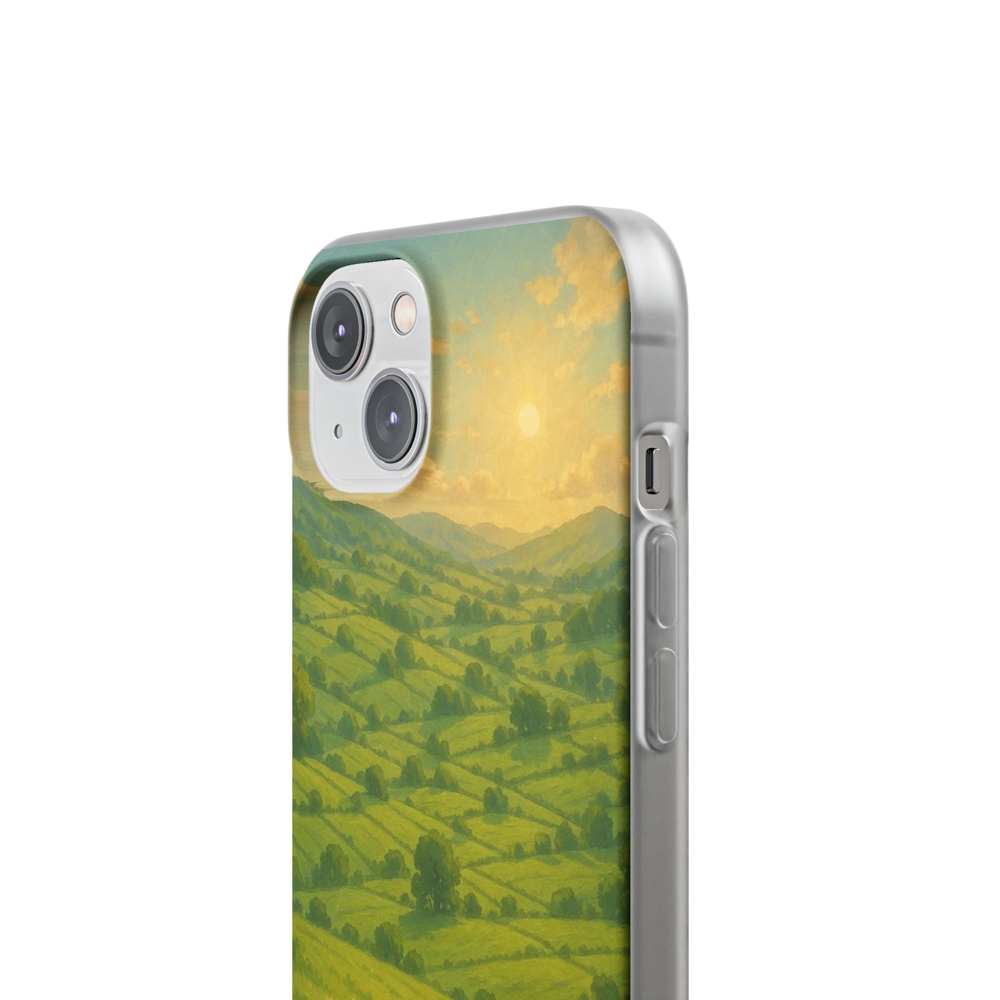 Sunset Over the Valley Cat