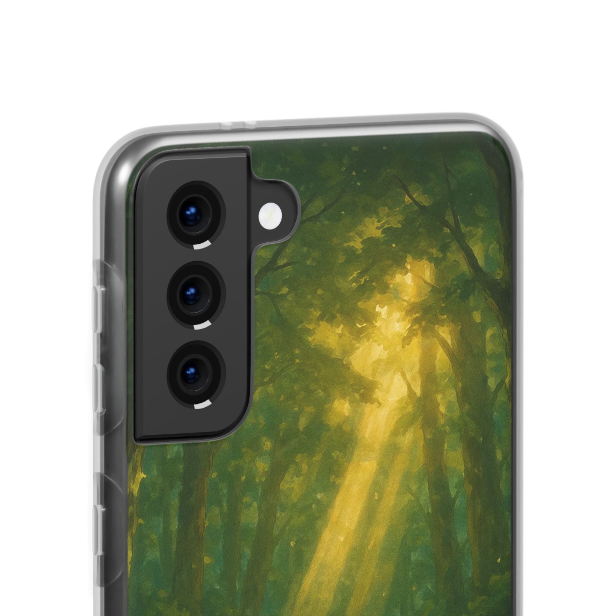 Sunbeam Sanctuary Cat