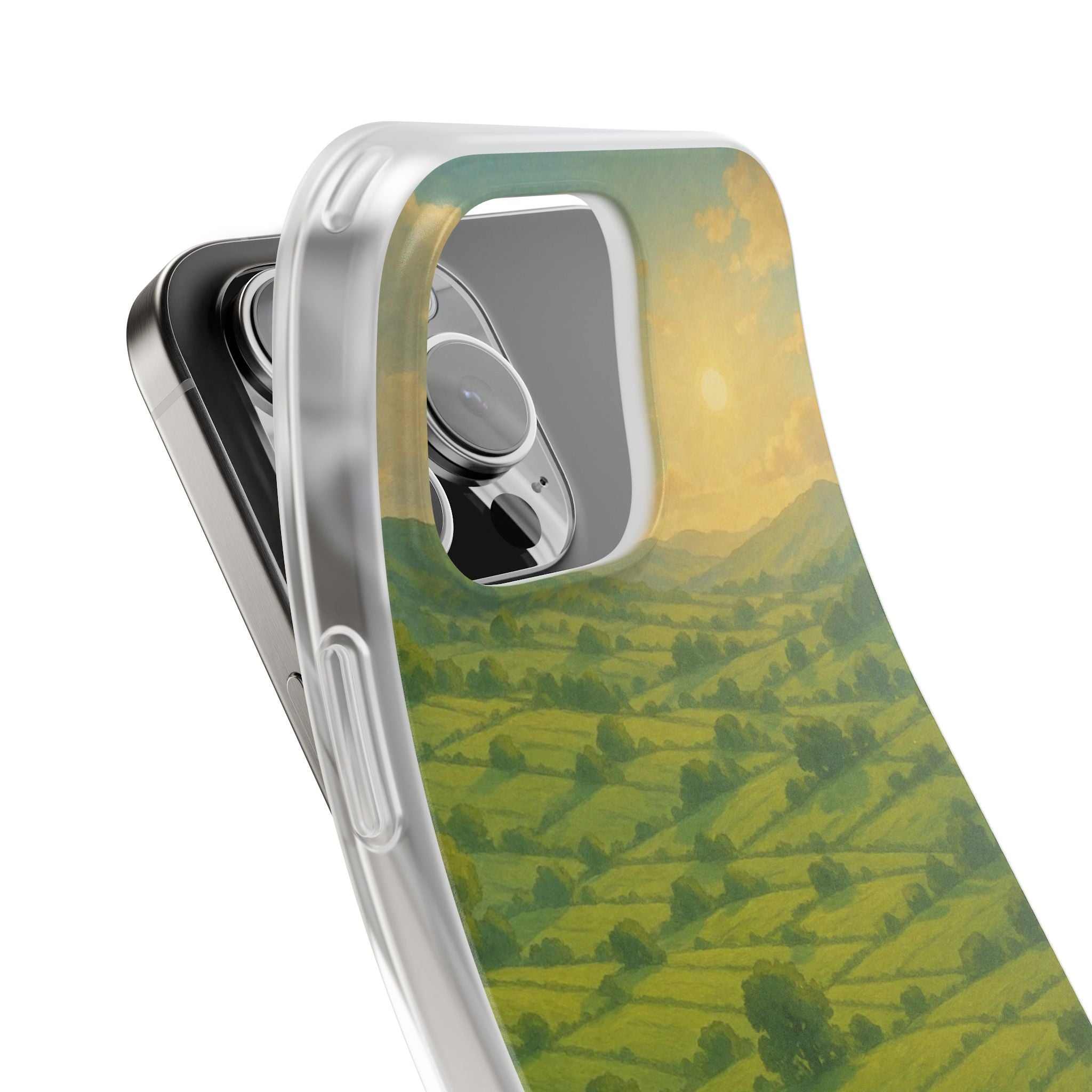 Sunset Over the Valley Cat