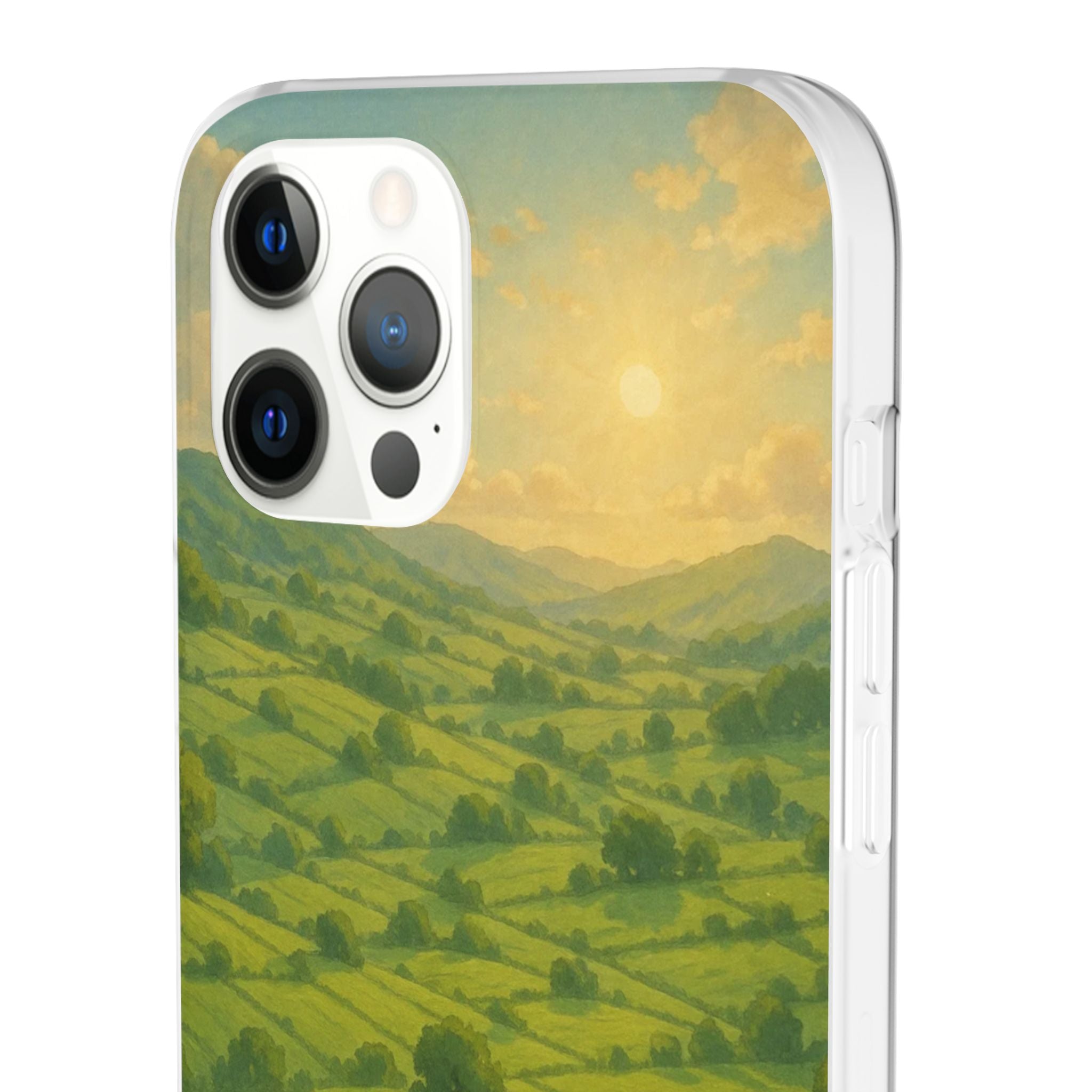 Sunset Over the Valley Cat