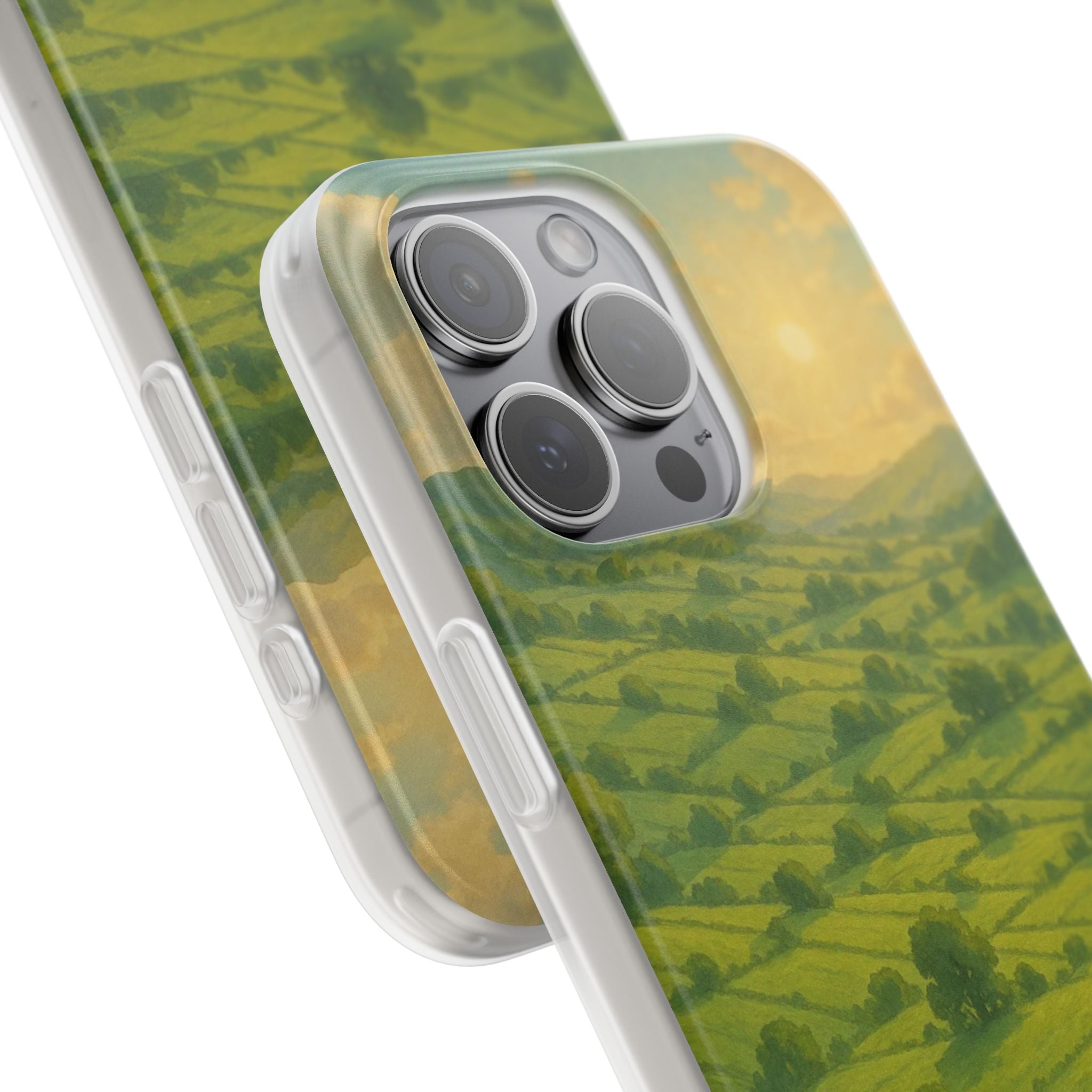 Sunset Over the Valley Cat