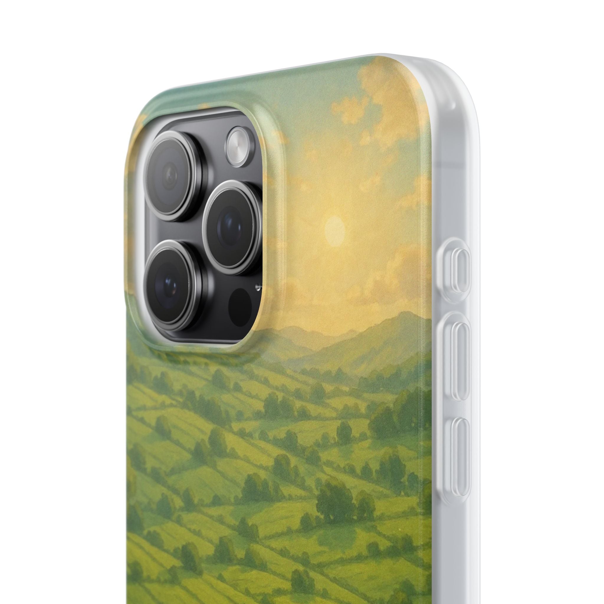 Sunset Over the Valley Cat