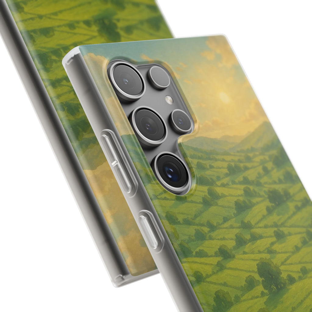 Sunset Over the Valley Cat