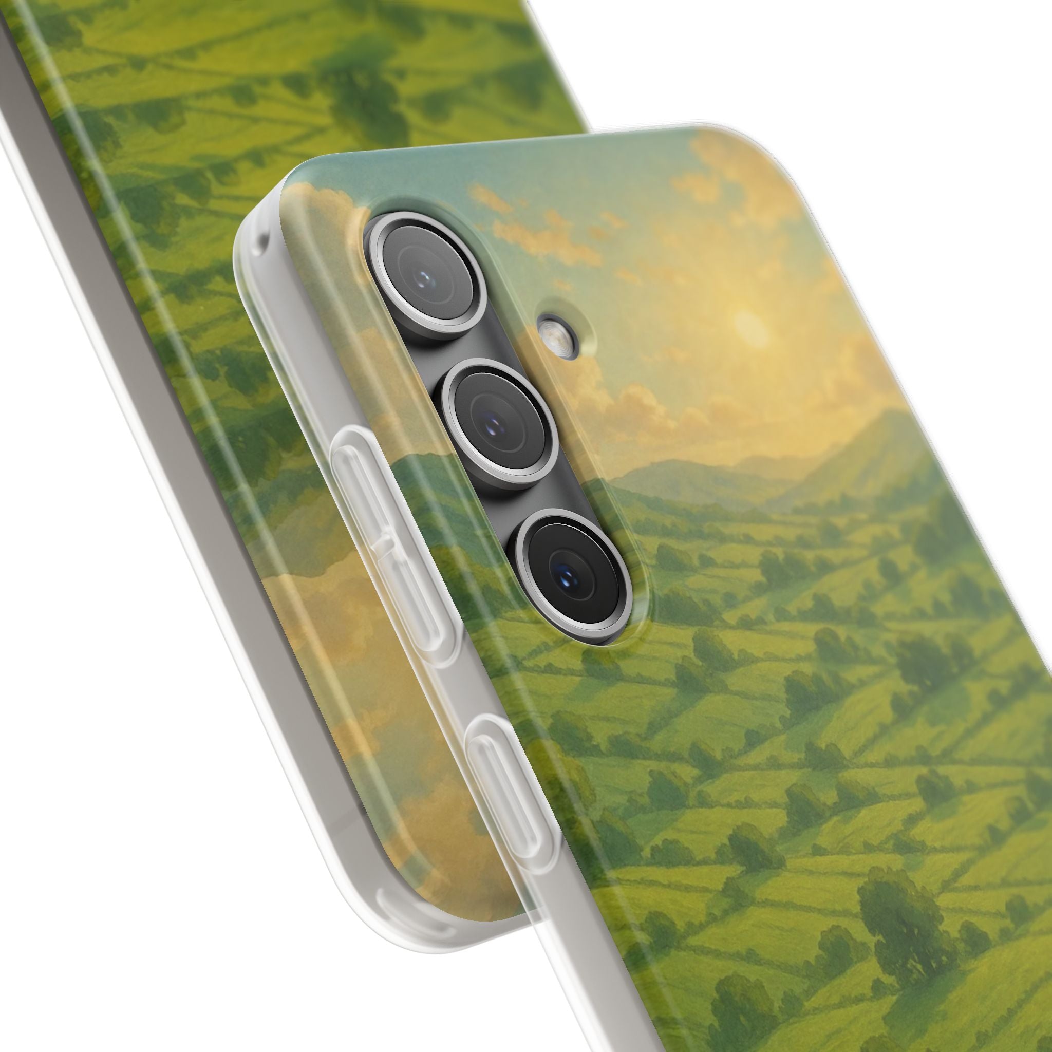 Sunset Over the Valley Cat