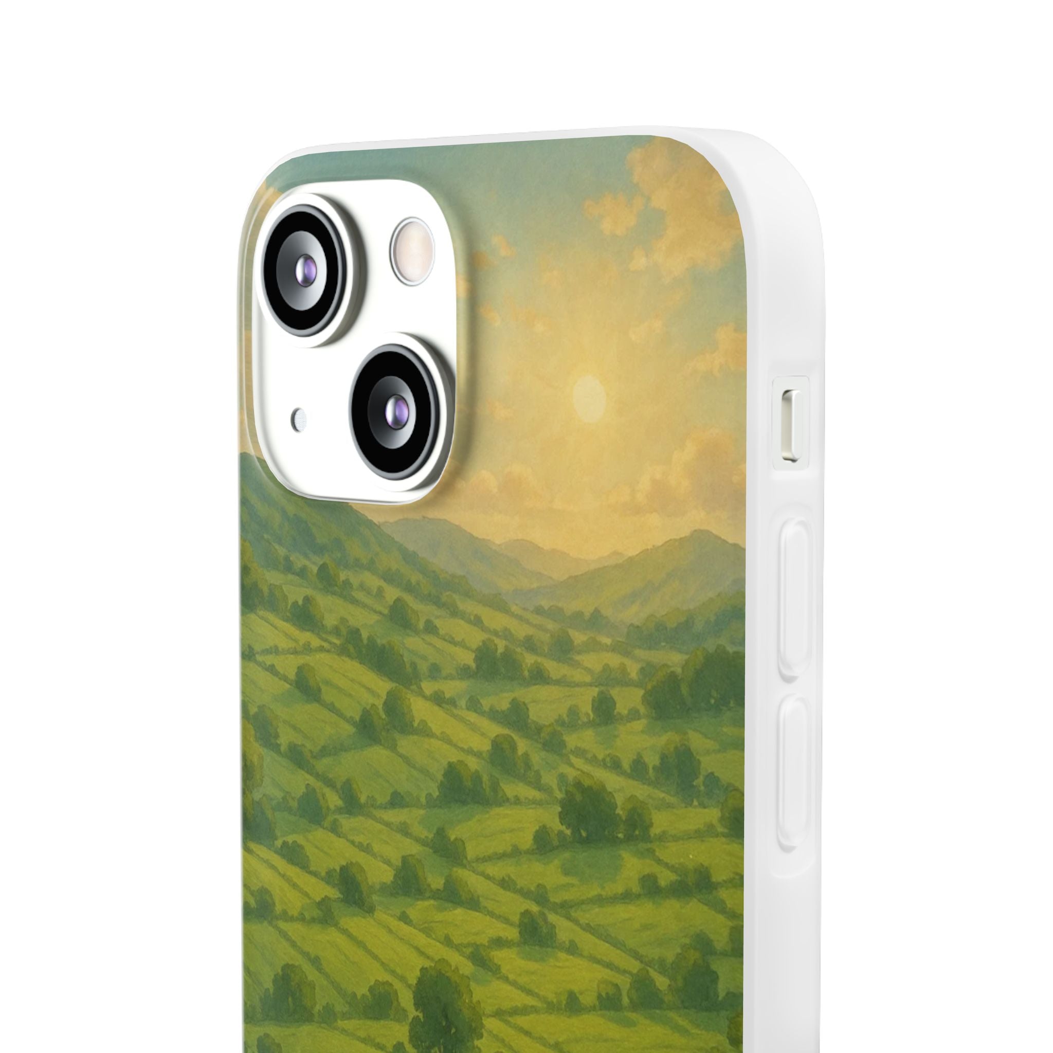 Sunset Over the Valley Cat