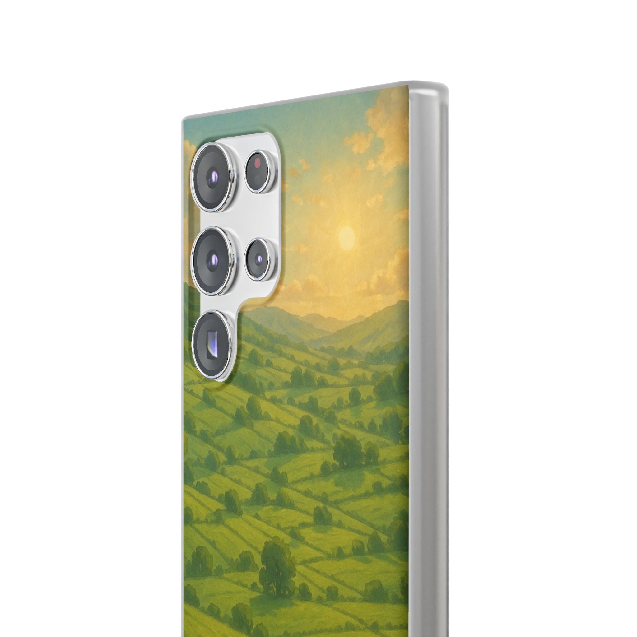 Sunset Over the Valley Cat