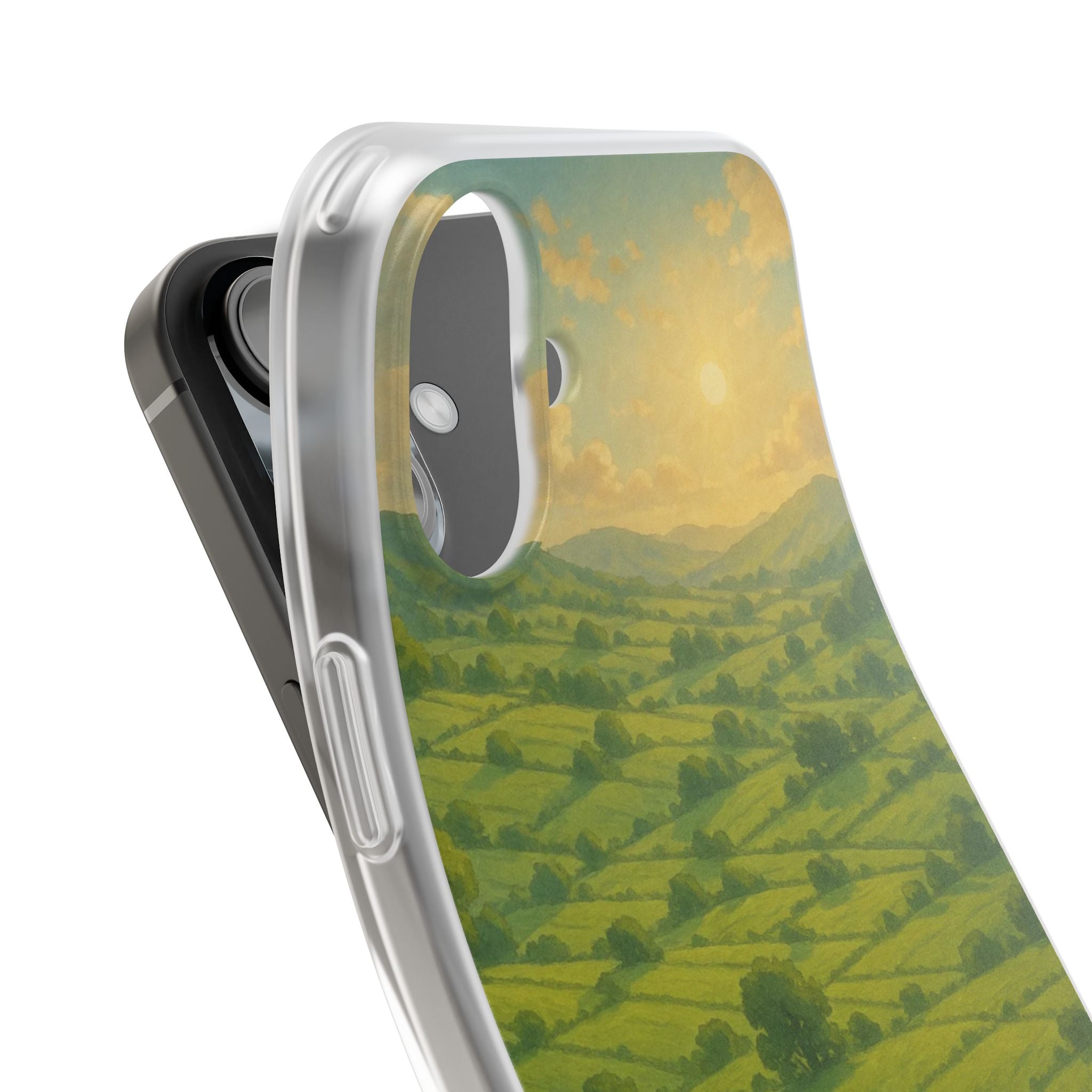 Sunset Over the Valley Cat