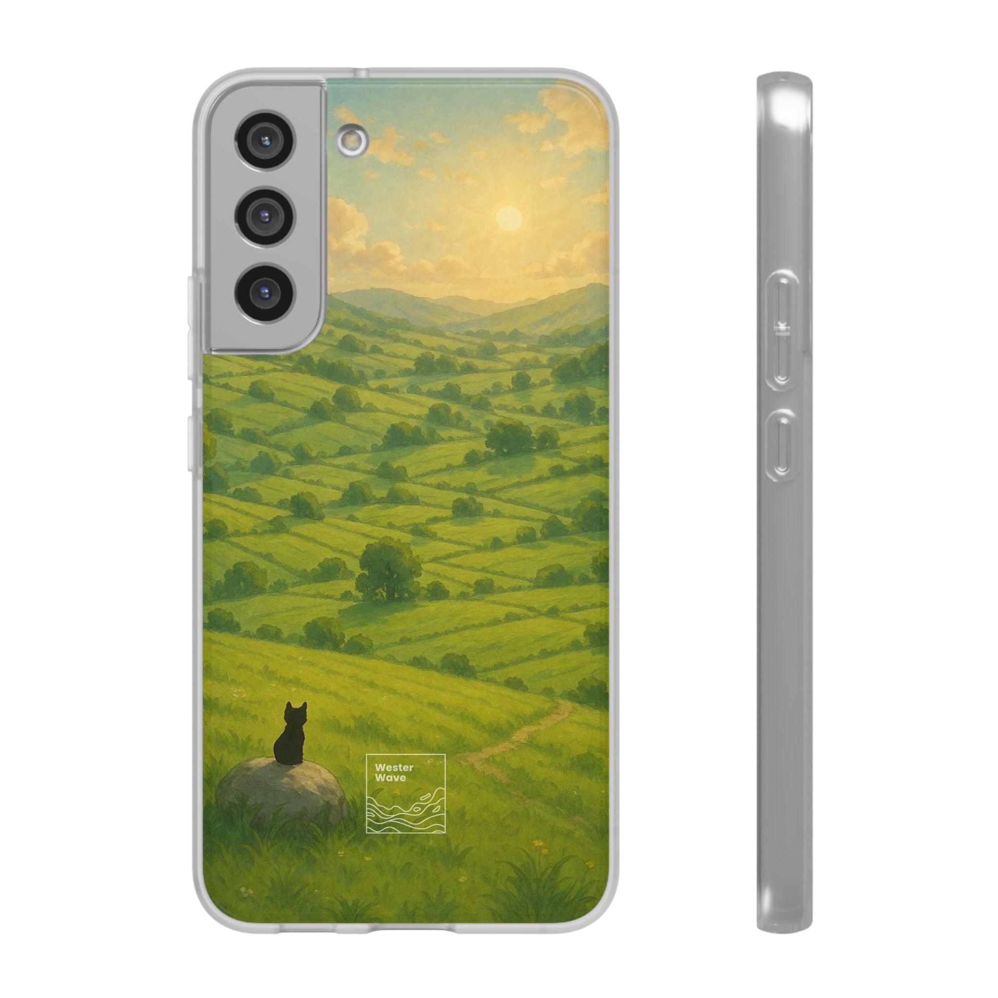 Sunset Over the Valley Cat