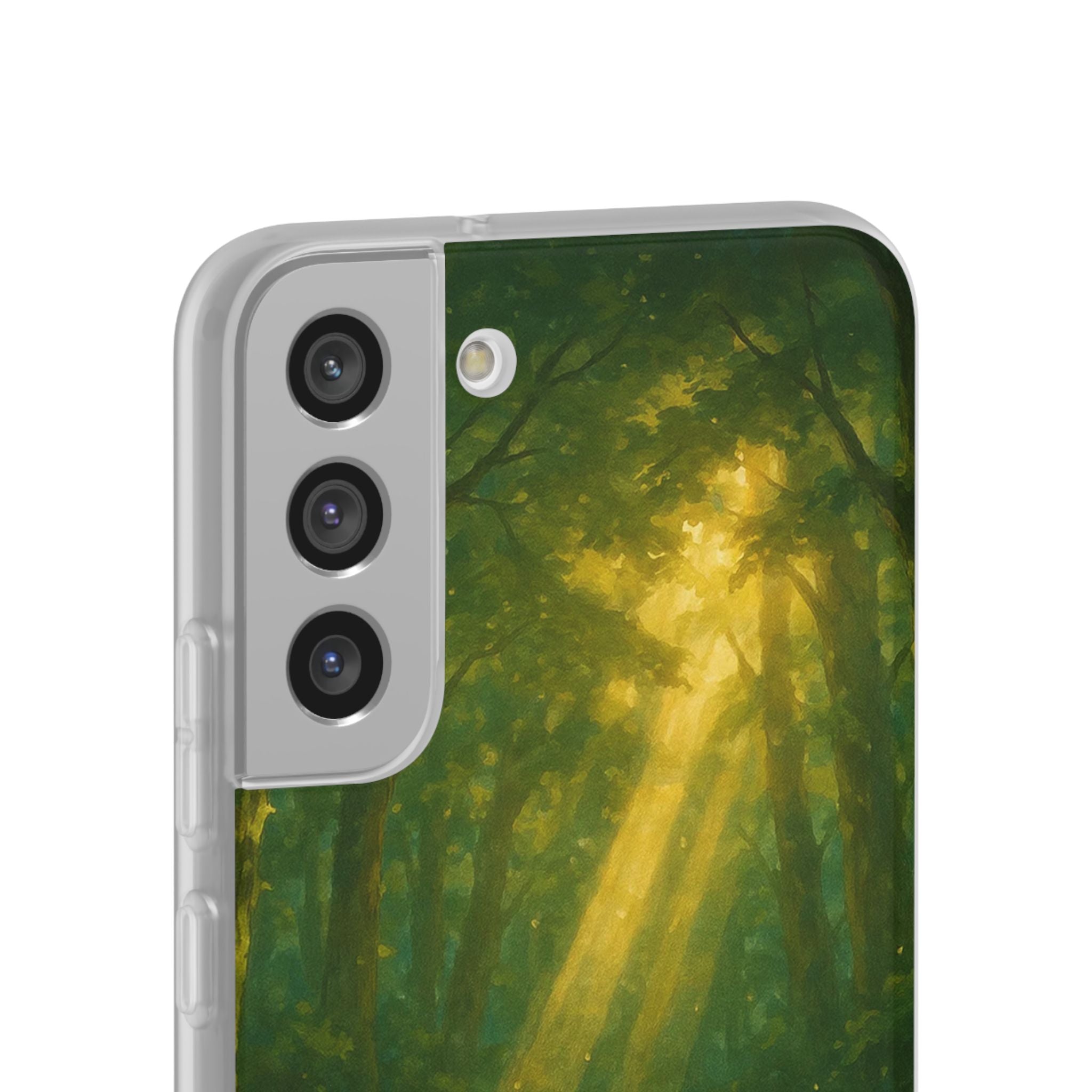 Sunbeam Sanctuary Cat