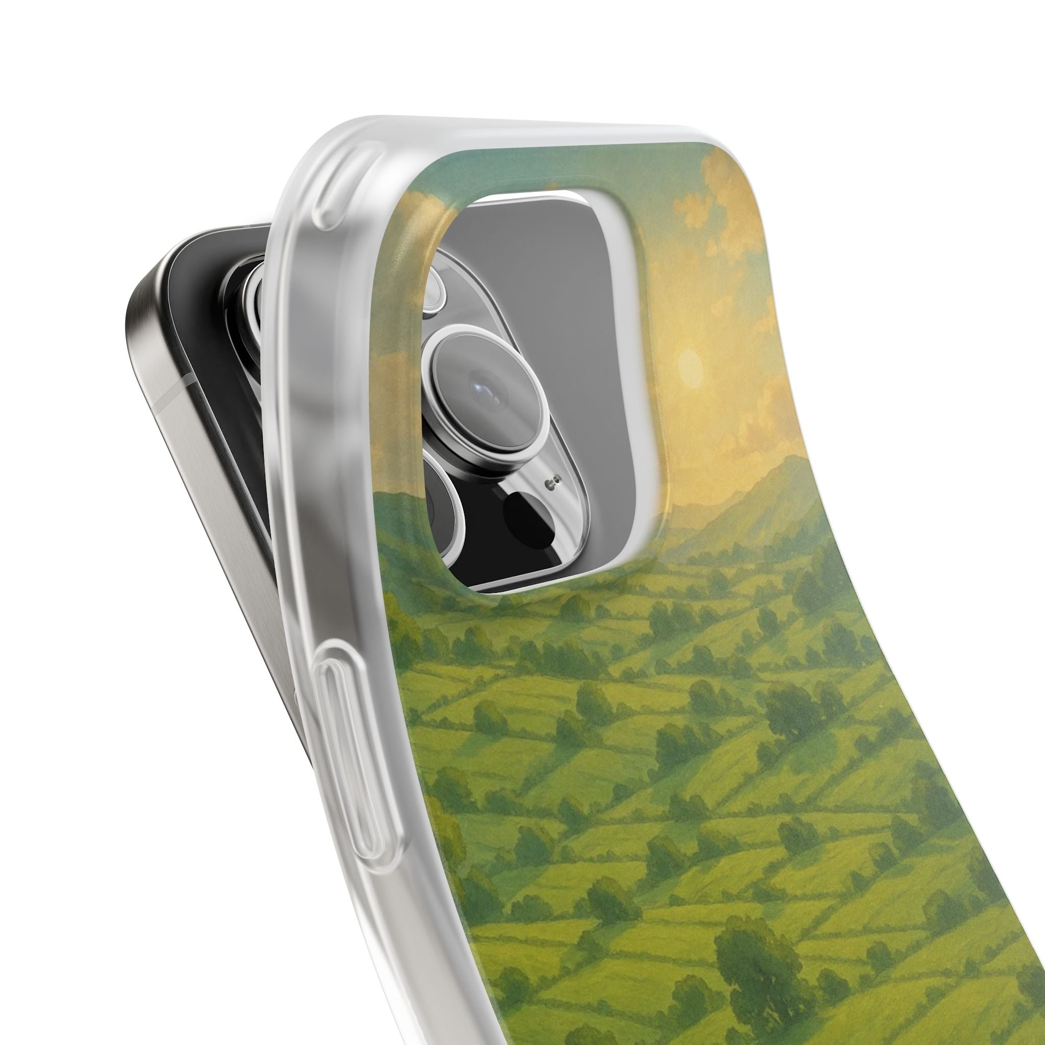 Sunset Over the Valley Cat