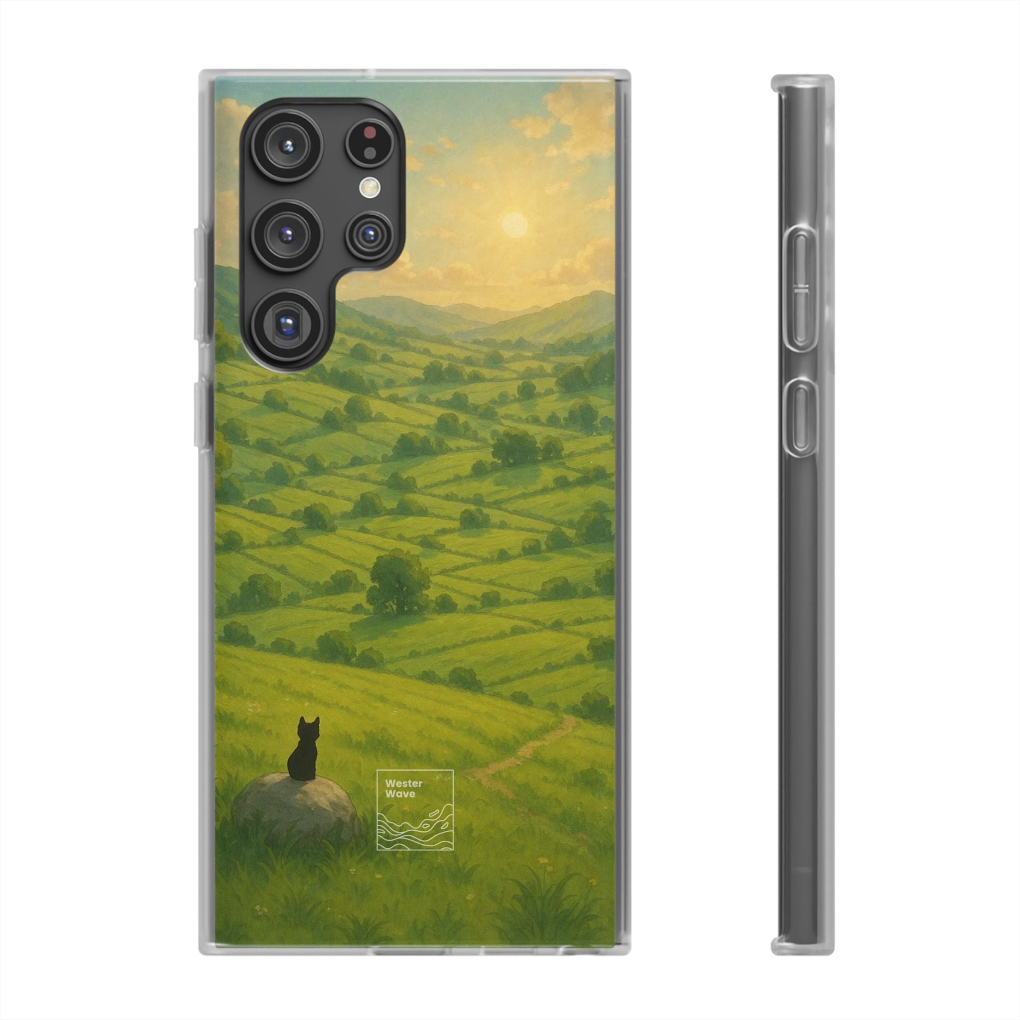 Sunset Over the Valley Cat