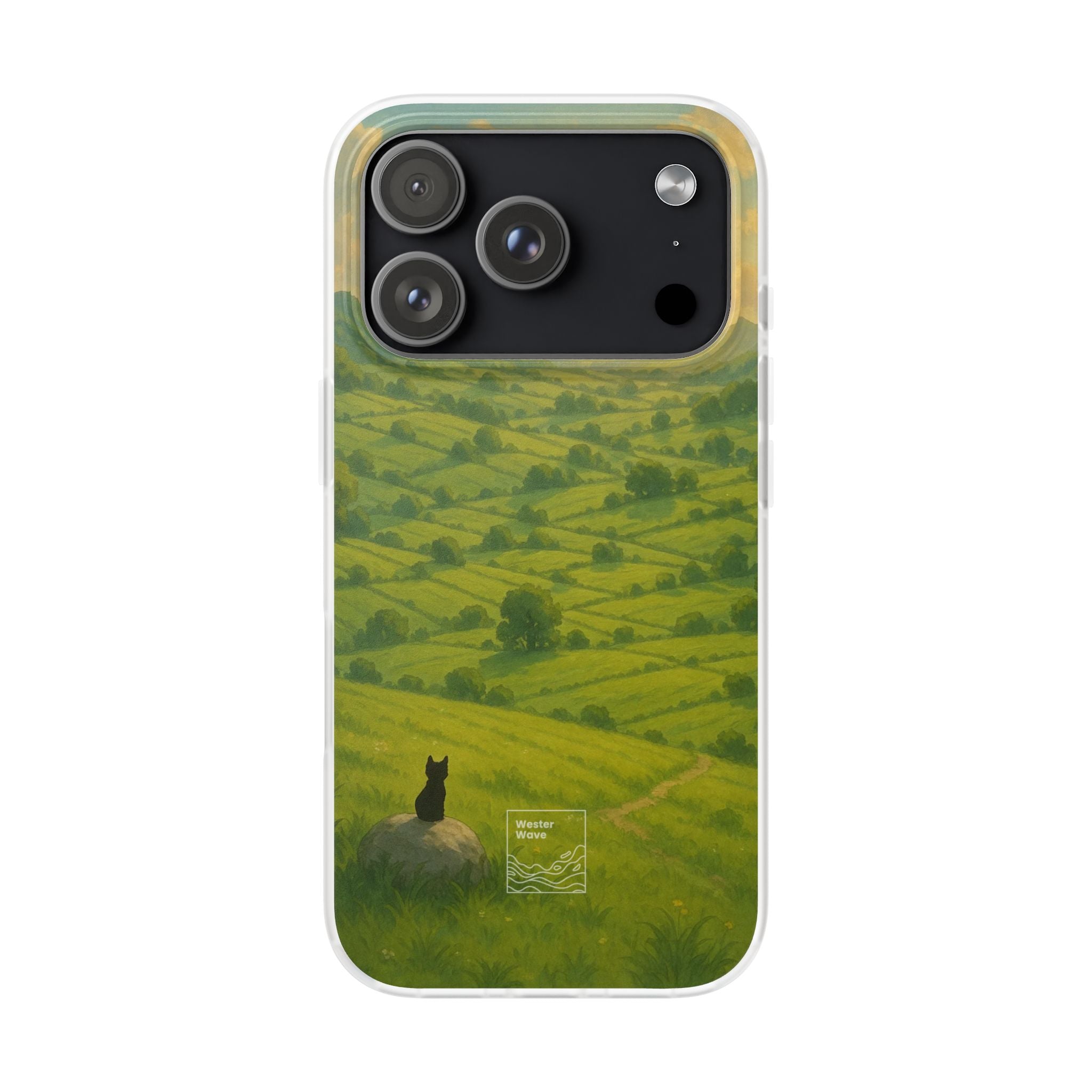 Sunset Over the Valley Cat