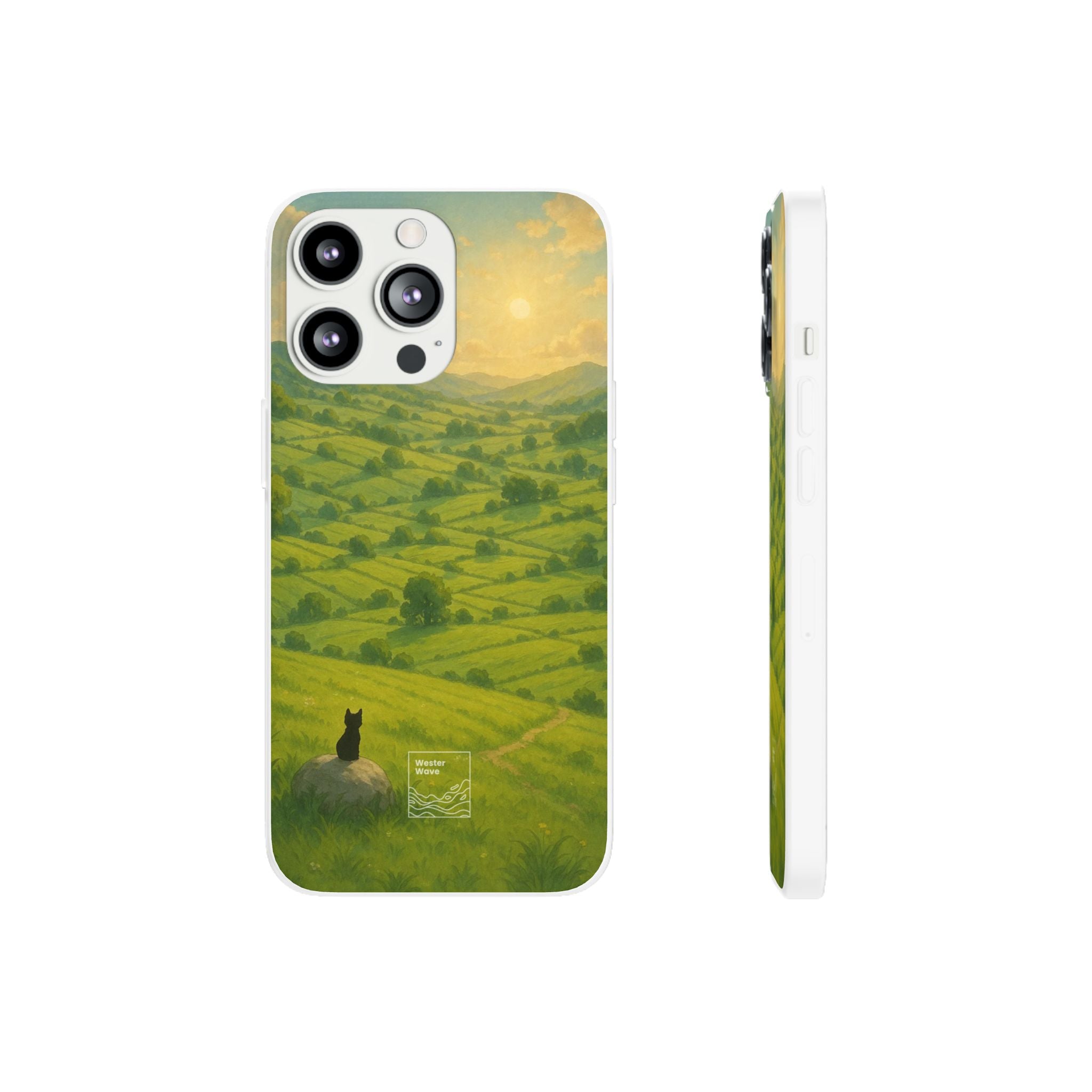 Sunset Over the Valley Cat