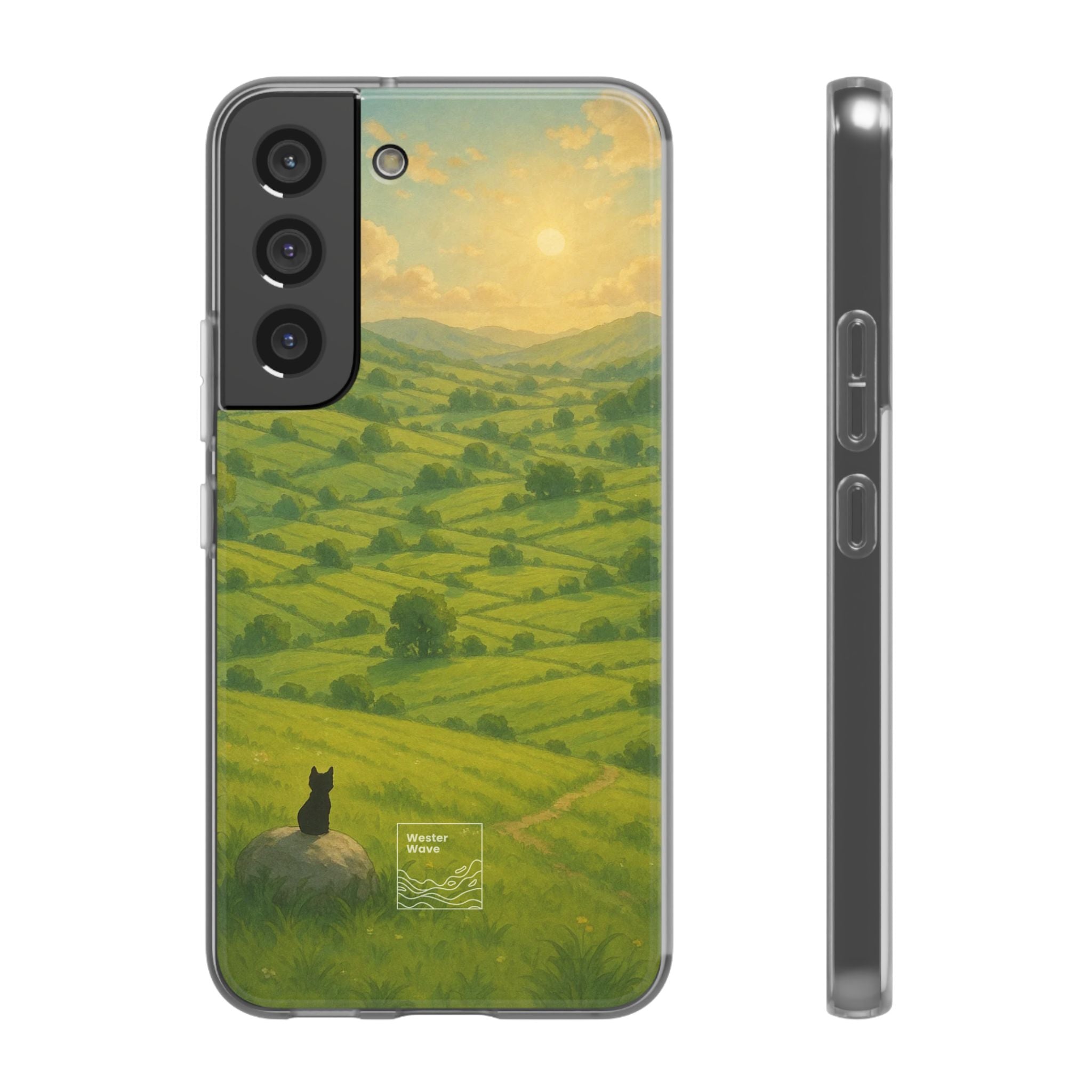 Sunset Over the Valley Cat